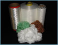 Polyester Fiber